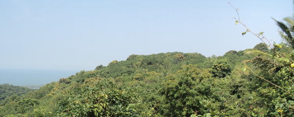 Ezhimala-Das Residency