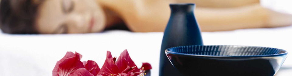 Rudara Ayurvedic Spa at Das Residency